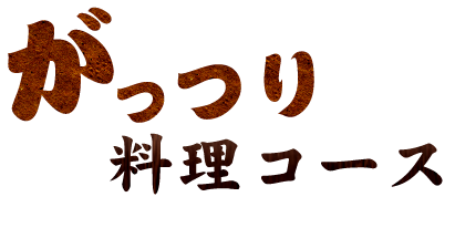 がっつり料理コース