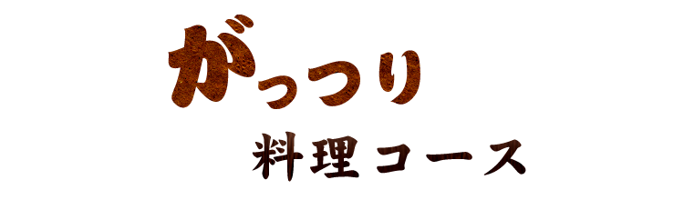 がっつり料理コース